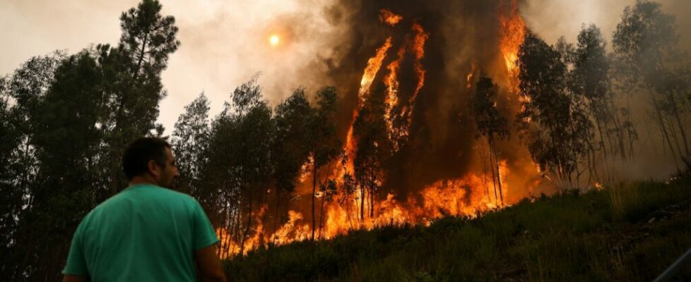 Incêndios. Afetados pelos fogos nas regiões Norte e Centro têm até dia 30 para cumprir obrigações fiscais