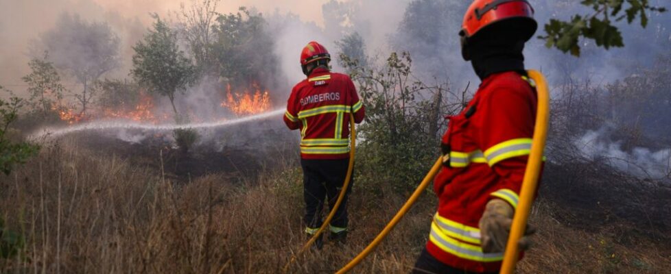 Bombeiro de Resende ferido num braço após ataque de residente com forquilha