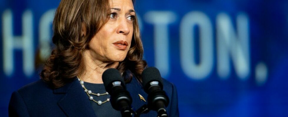 Campanha de Kamala Harris angariou em agosto quatro vezes mais donativos do que Trump