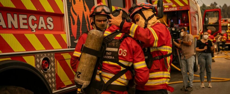 Bombeiros morreram a combater o fogo e não no carro, garante presidente da corporação de Vila Nova de Oliveirinha