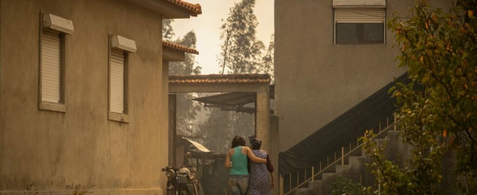 Incêndios chegam a Águeda. “Só quem vive isto sabe o que é”