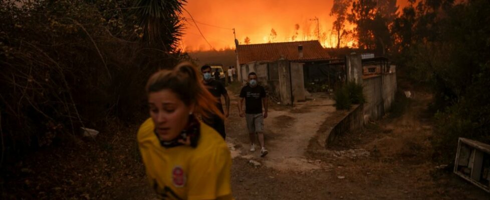 Em Águeda, os bombeiros são o alvo da frustração: “São pessoas de Queluz e do Estoril, não conhecem o mato”