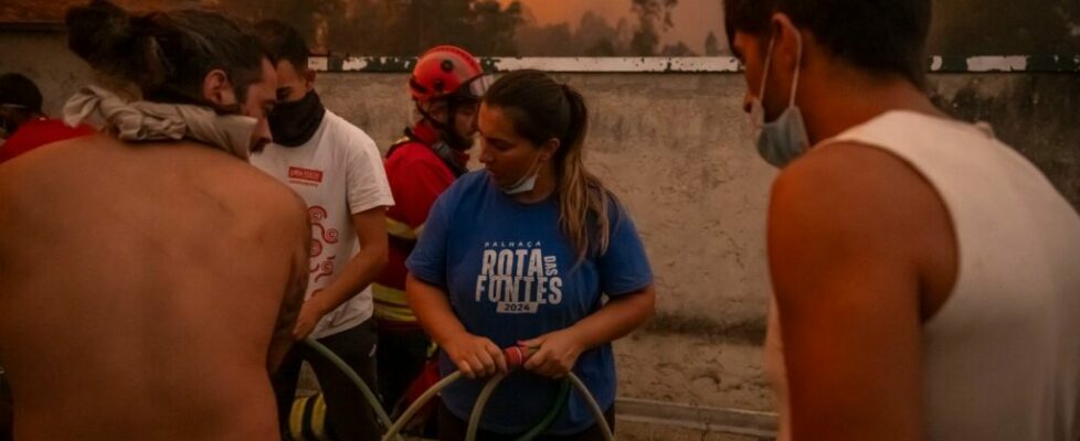 Incêndios. Águeda cria Gabinete de Apoio às Vítimas