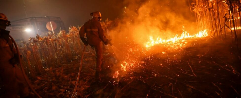 Incêndios. “O combate ao fogo tem corrido bem”