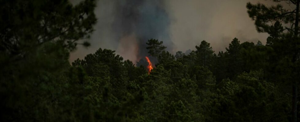 Interior Norte e Centro, Alto Alentejo e Algarve em risco muito elevado de incêndio