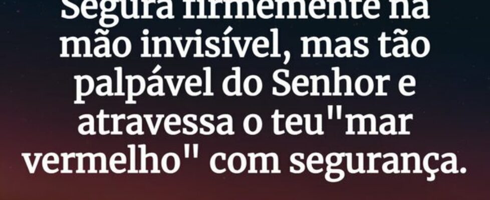 ⁠Segura firmemente na mão invisível, mas tão palpá... Patrícia Menezes