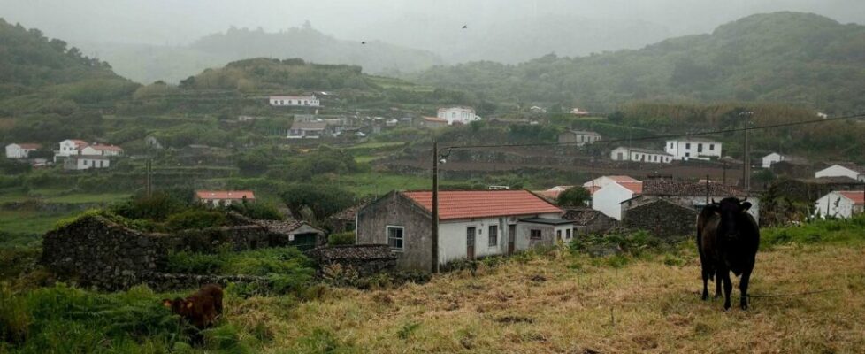 Ilhas do grupo Ocidental dos Açores sob aviso vermelho devido à agitação marítima