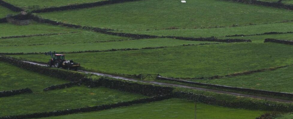 Açores liberalizam consumo do gasóleo agrícola a partir de 2025