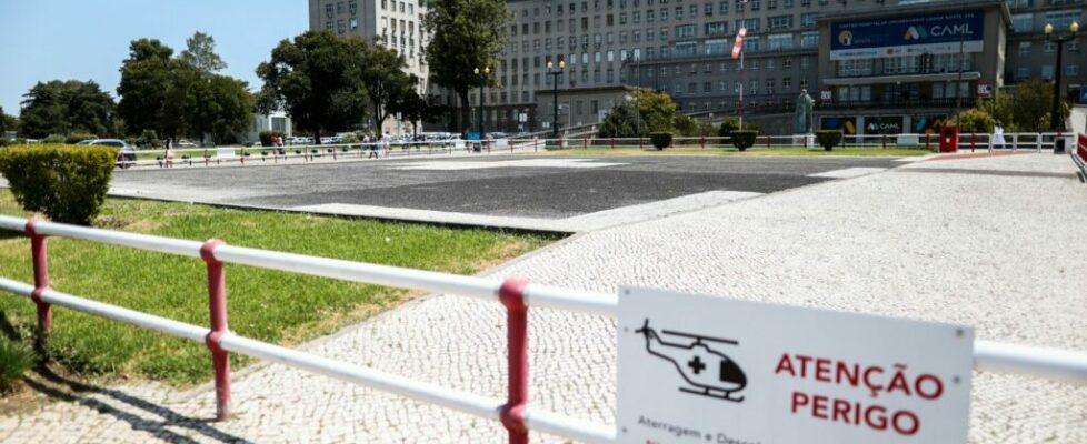 Bombeiro de Castelo de Vide foi mordido por víbora, mas está a evoluir favoravelmente