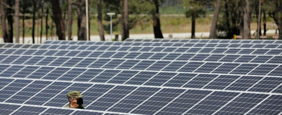 Energia solar produzida até 5 de setembro equivalente ao total de 2023, segundo dados das Redes Energéticas Nacionais