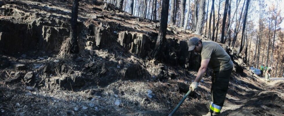 Há apoios para os incêndios de agosto do ano passado por regulamentar, diz Tribunal de Contas