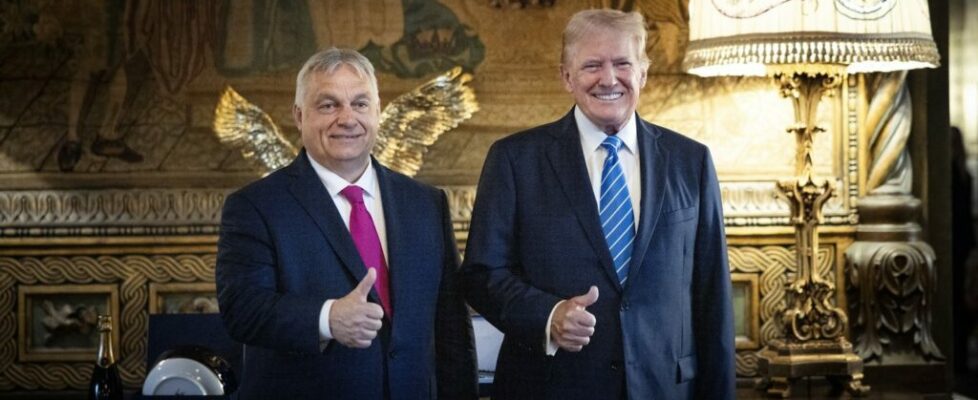 Se Donald Trump vencer as eleições, Viktor Orbán promete “abrir garrafas de champanhe”