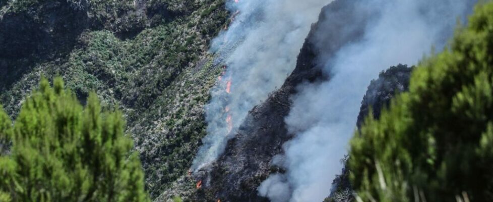 Fogo rural em zona de difícil acesso na Madeira mobiliza 24 operacionais e cinco veículos