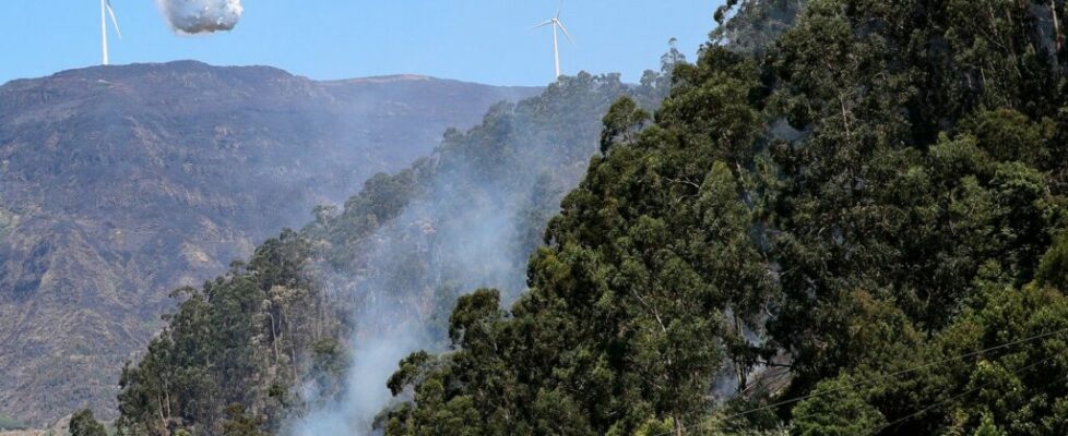 Madeira. Região diz estar à espera que um segundo meio aéreo seja garantido pelo Estado