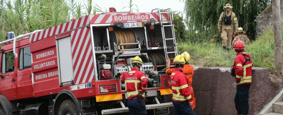 Incêndio rural na Madeira circunscrito e com “fraca intensidade”, diz Proteção Civil