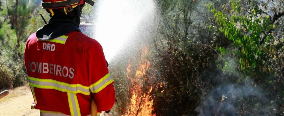 Mogadouro aprovou por unanimidade criação do Cartão Municipal do Bombeiro