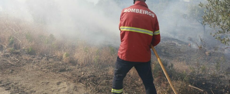 Incêndio deflagrou em fábrica de paletes de madeira no concelho de Leiria