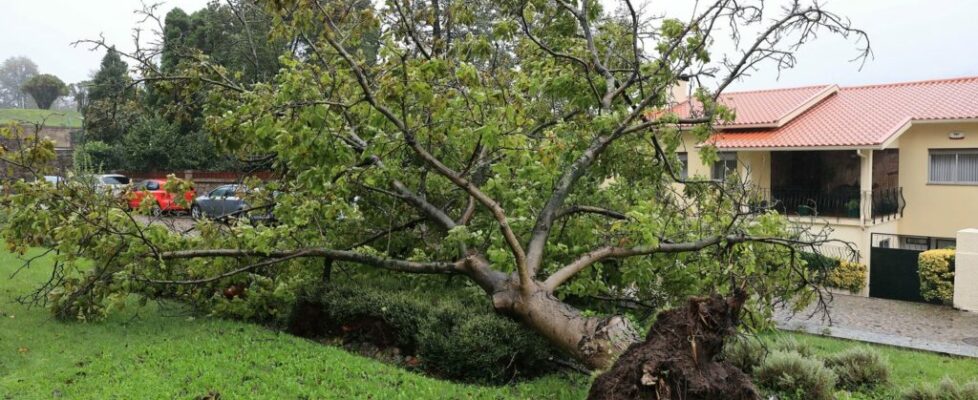 Mau tempo: Sobe para mais de 1870 o número de ocorrências entre as 18h de ontem e as 11h da manhã de hoje