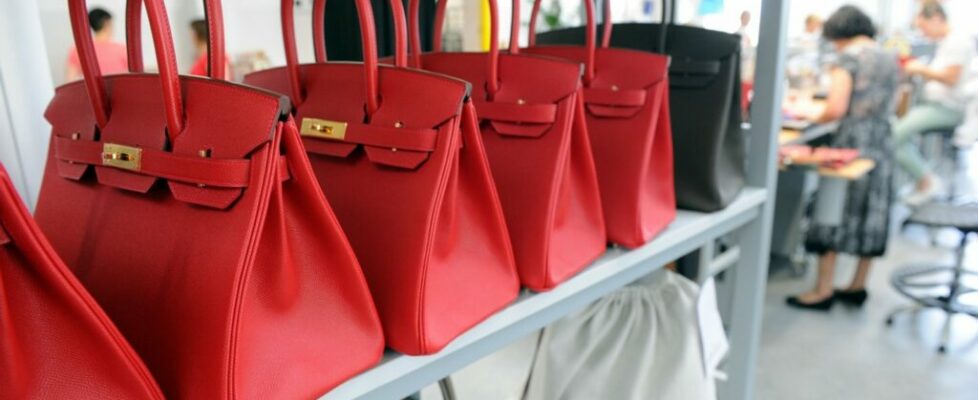 Clientes processam Hermès: queixam-se de que marca de luxo força consumidores a gastar milhares só para tentar comprar a mala Birkin