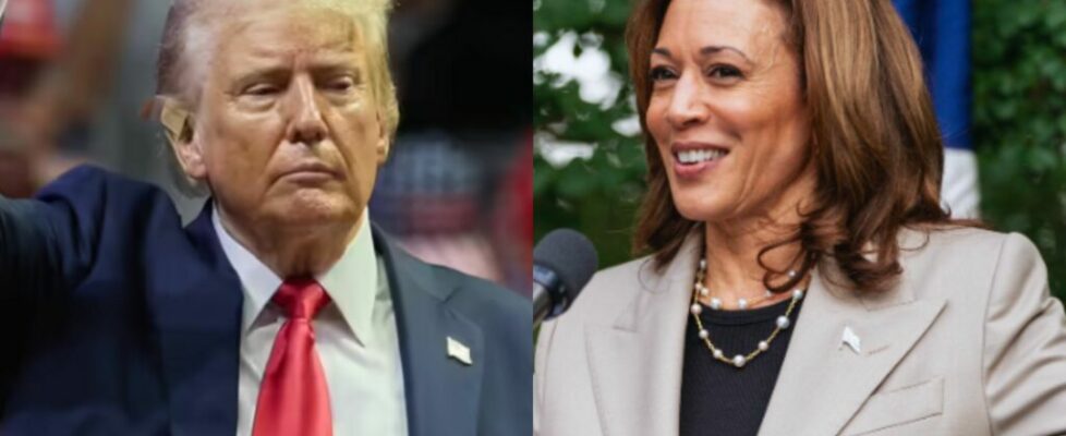 EUA: a duas semanas da eleição, Trump ultrapassa Kamala nas projeções