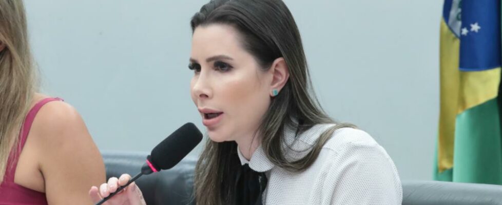 Petista ataca presidência da CCJ por debate sobre propostas que freiam o STF