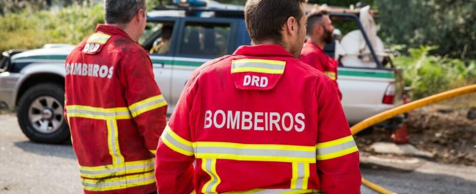 Incêndio em habitação deixa mulher de 78 anos desalojada em Arraiolos