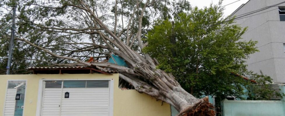 Chuva e vento fortes em São Paulo fazem sete mortos e deixam milhares de pessoas sem eletricidade