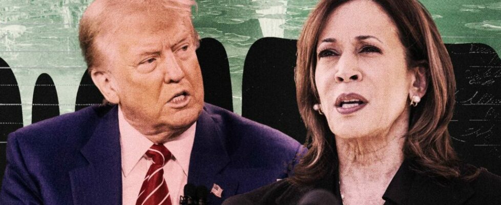 Neither Trump Nor Harris Wants To Drain the Swamp. They Want You To Join It.