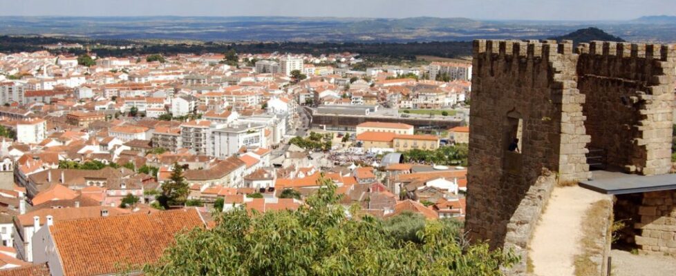 Homem foragido à justiça há 18 anos detido em Castelo Branco