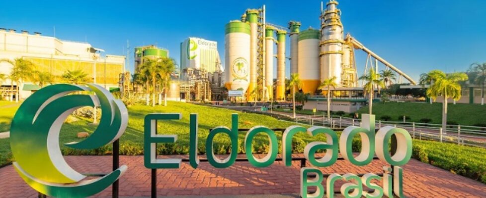 Cade suspende direito a voto da Paper na Eldorado, a pedido da J&F