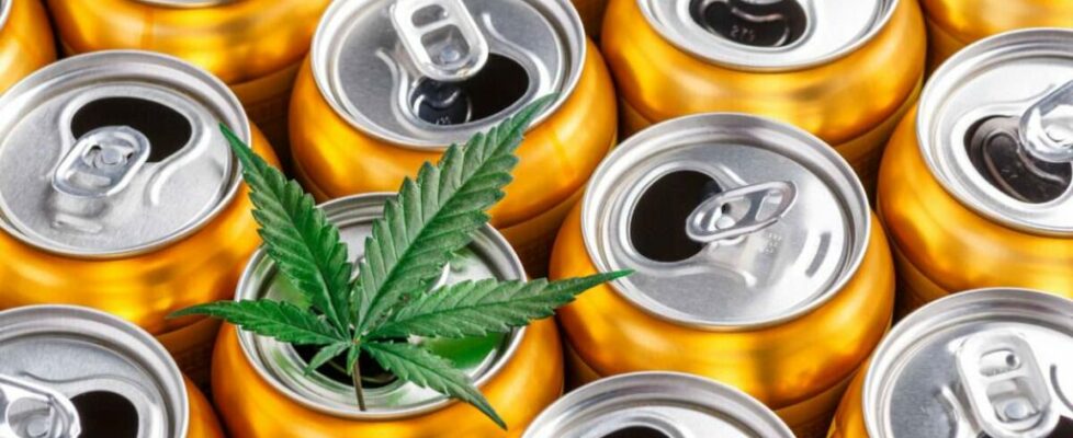 Beer Lobby Wants Restrictions and Higher Taxes on Intoxicating Hemp Products