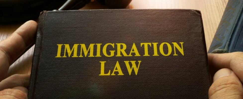 Trump Promised More Legal High-Skilled Immigration. His Record Says Otherwise.