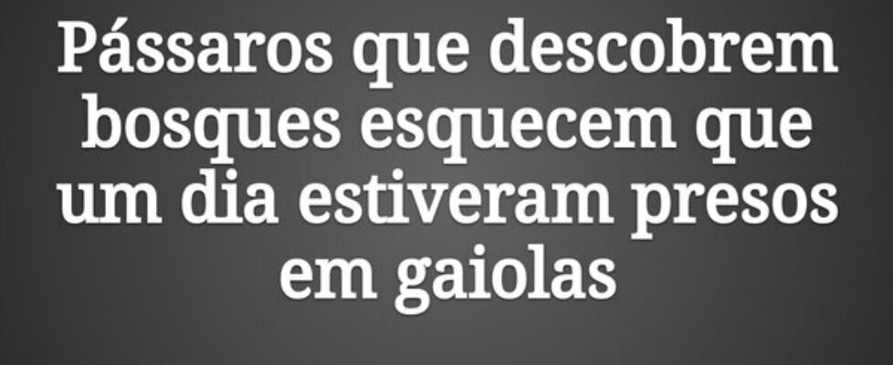 Pássaros que descobrem bosques esquecem que um dia... Randerson Figueiredo.