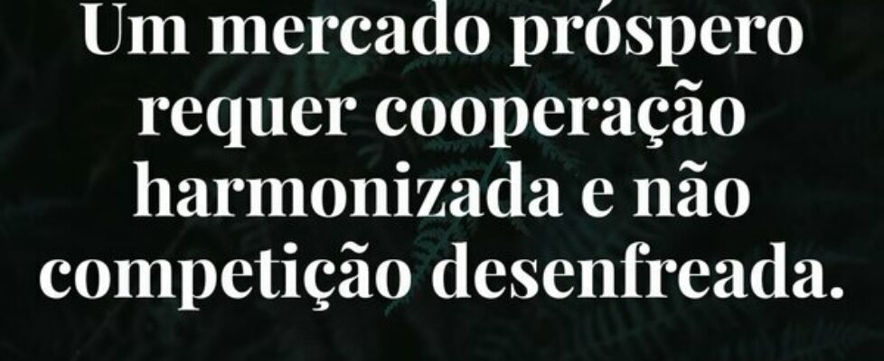 ⁠Um mercado próspero requer cooperação harmonizada... Fernando Scheuermann