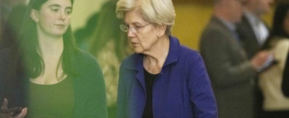 Elizabeth Warren, CEO-Assassin Cheerleader