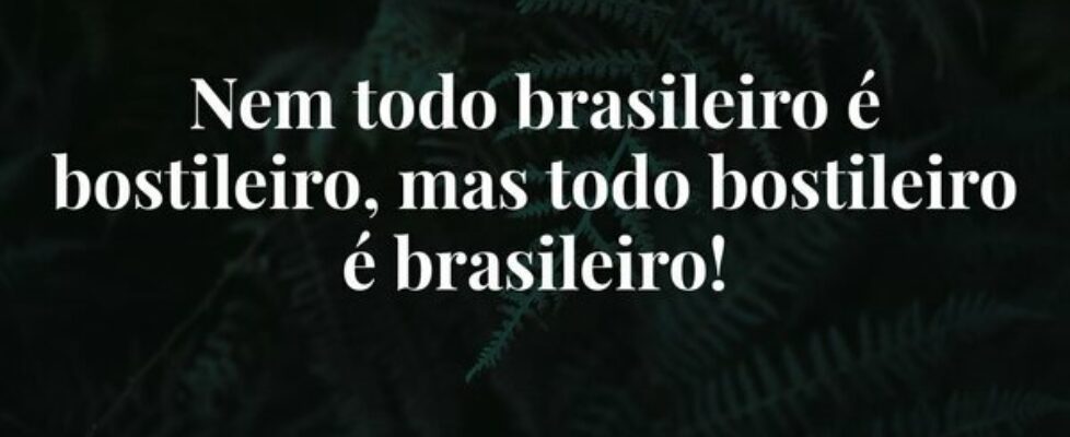Nem todo brasileiro é bostileiro, mas todo bostile... João Brito