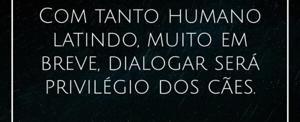 ⁠Com tanto humano latindo, muito em breve, dialoga... Alessandro Teodoro