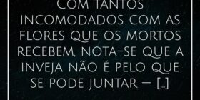 ⁠Com tantos incomodados com as flores que os morto... Alessandro Teodoro