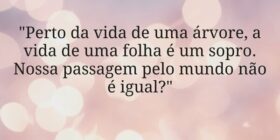 "Perto da vida de uma árvore, a vida de uma f... Blog Jornada da Escrita