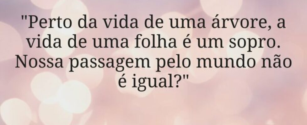 "Perto da vida de uma árvore, a vida de uma f... Blog Jornada da Escrita