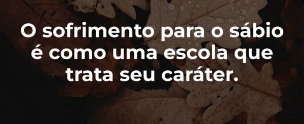 O sofrimento para o sábio é como uma escola que tr... Dayanne Raissa Dutra Pires