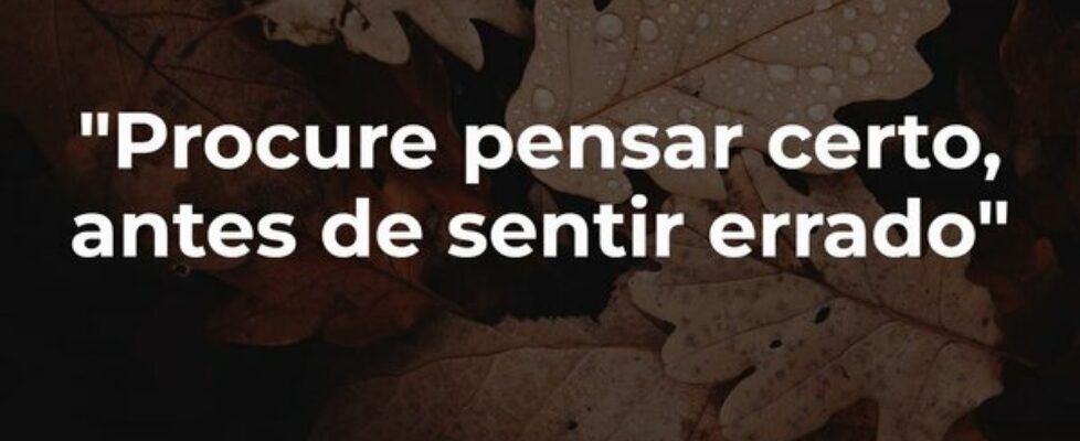 "Procure pensar certo, antes de sentir errado... Francinaldo Silva