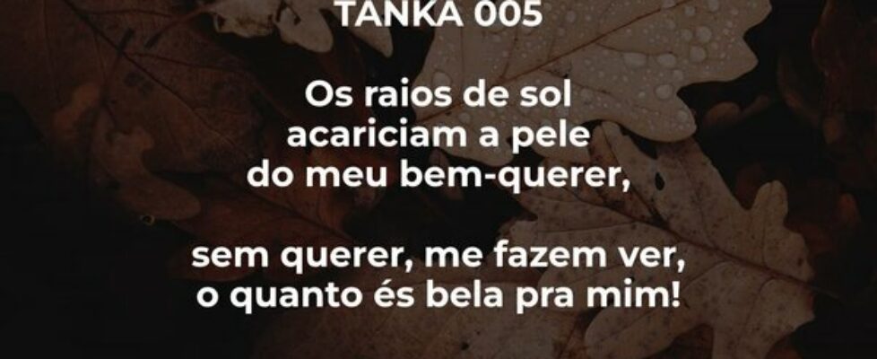 TANKA 005 Os raios de sol acariciam a pele do me... Freitas Júnior - Poeta