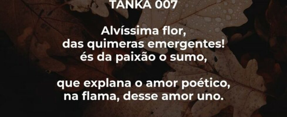 TANKA 007  Alvíssima flor, das quimeras emergent... Freitas Júnior - Poeta