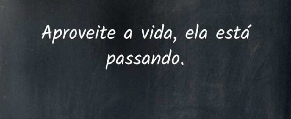 Aproveite a vida, ela está passando.... Ivo Mendes Morais