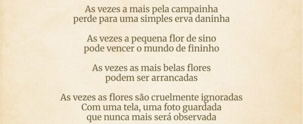 As vezes a mais pela campainha perde para uma simp... MaFê S.D.