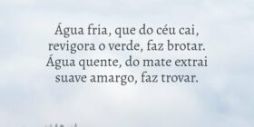 Água fria, que do céu cai, 
revigora o verde, faz ... O Bruxo de Curitiba