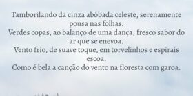 Tamborilando da cinza abóbada celeste, serenamente... O Bruxo de Curitiba