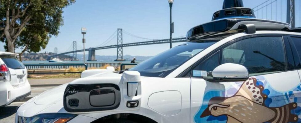 Self-Driving Cars Will Make the World Safer for Cats—and Humans Too