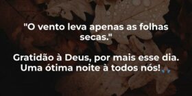⁠"O vento leva apenas as folhas secas."
... Suelly Xavier Lucas